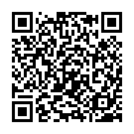 QR code for plate 911-010