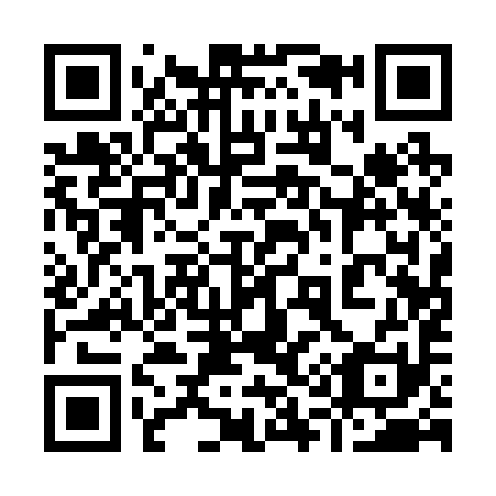QR code for plate 911-291