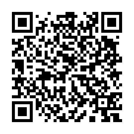QR code for plate 911-431