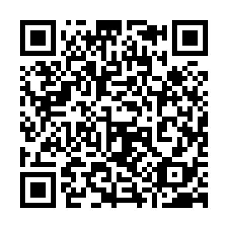 QR code for plate 911-838