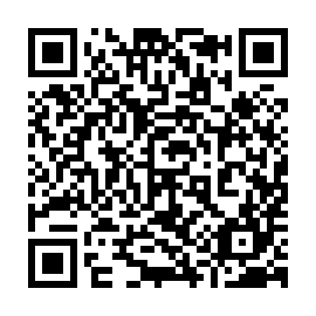 QR code for plate 911-884