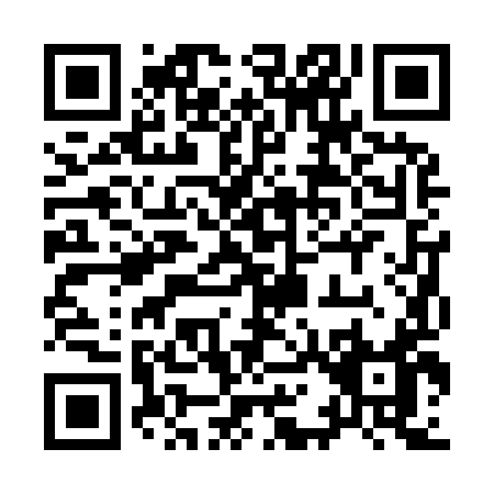 QR code for 91299