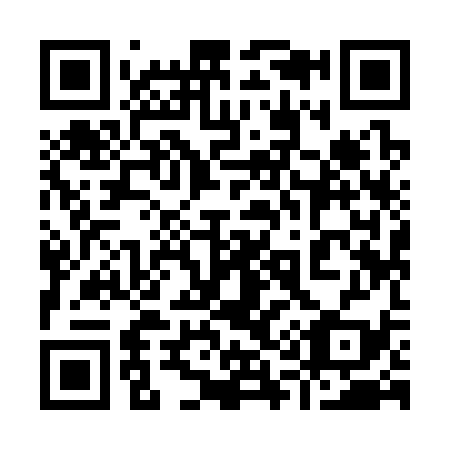 QR code for 919-339