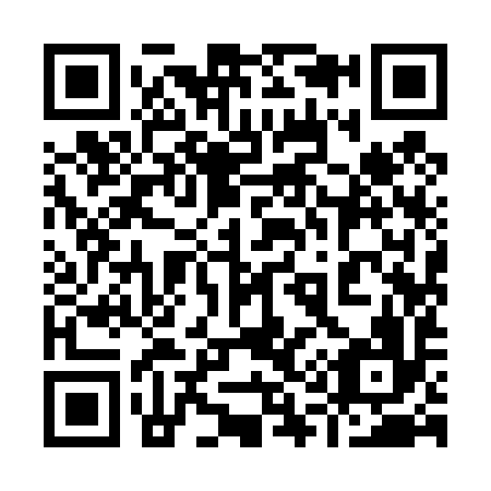QR code for 919-496