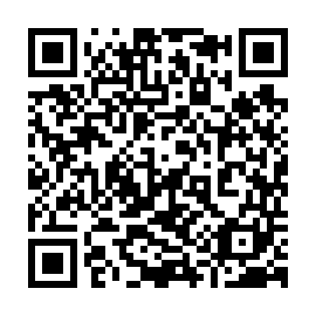 QR code for 919-641