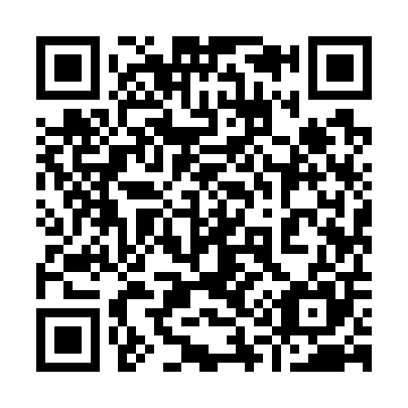 QR code for 919-705
