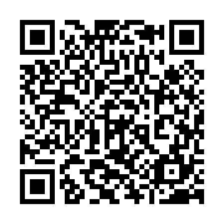QR code for plate 919-074