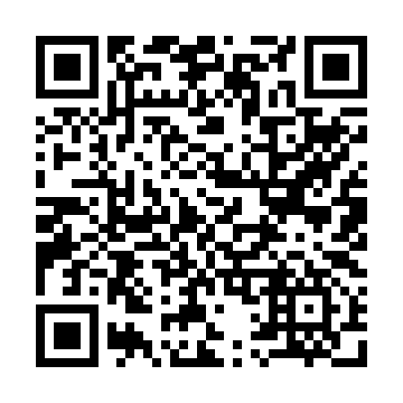 QR code for plate 919-297