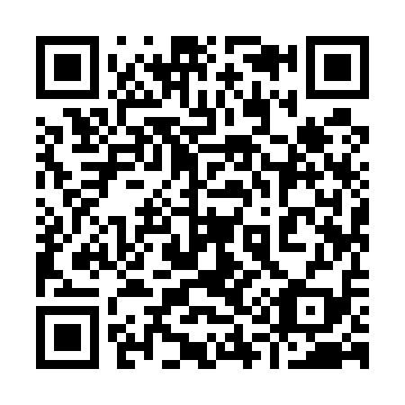 QR code for plate 919-519