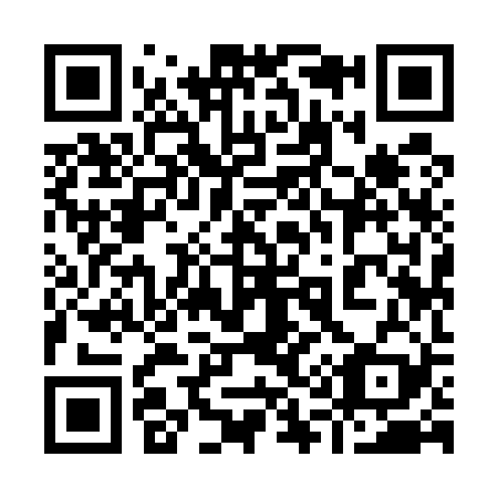 QR code for 919529
