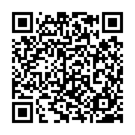 QR code for plate 919-724