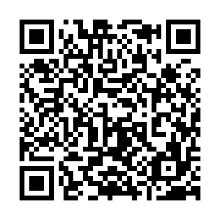 QR code for plate 919-916