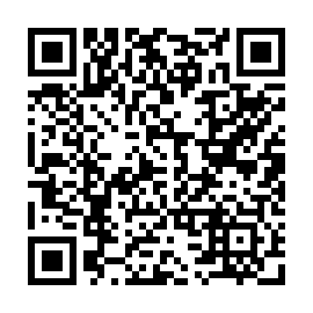QR code for plate 931-203