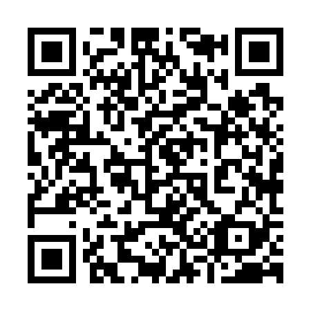 QR code for plate 938-729