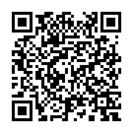 QR code for 9493