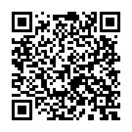 QR code for plate 950-563