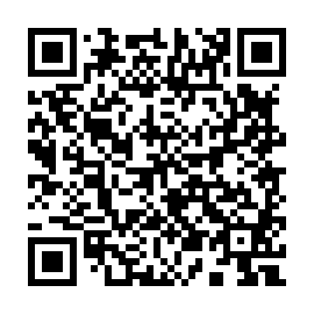 QR code for plate 950-880
