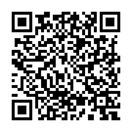 QR code for 9509
