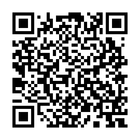 QR code for plate 951-393