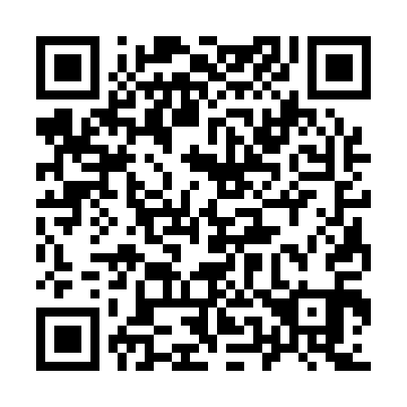QR code for plate 953-111
