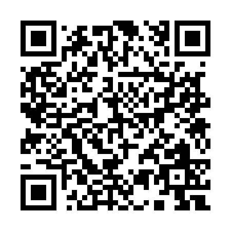 QR code for 95313