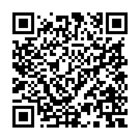 QR code for 95385