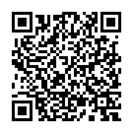 QR code for 9541