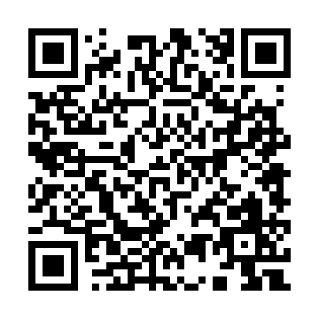 QR code for 95431