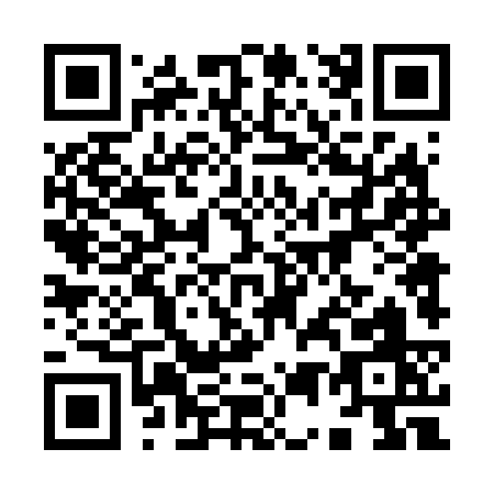 QR code for 95463