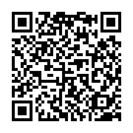 QR code for plate 955-738