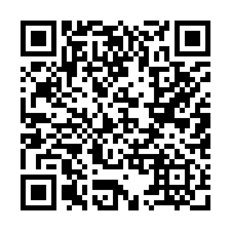 QR code for plate 955-919