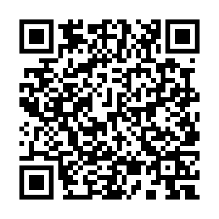 QR code for 9560