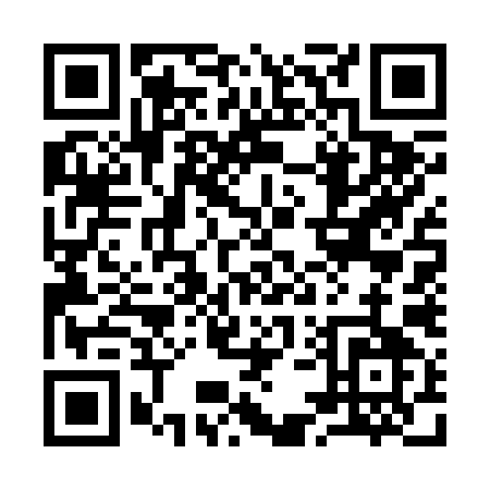 QR code for 95729
