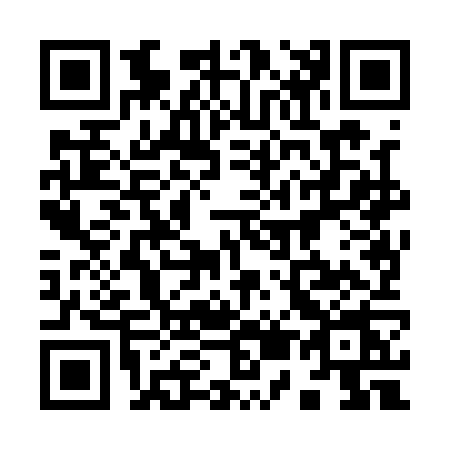 QR code for 9581