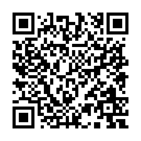 QR code for 95853