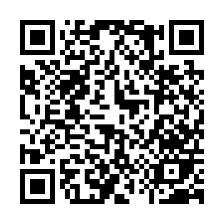 QR code for 95920