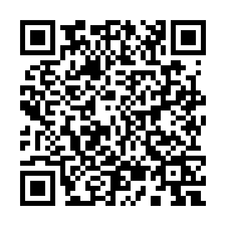 QR code for 9593