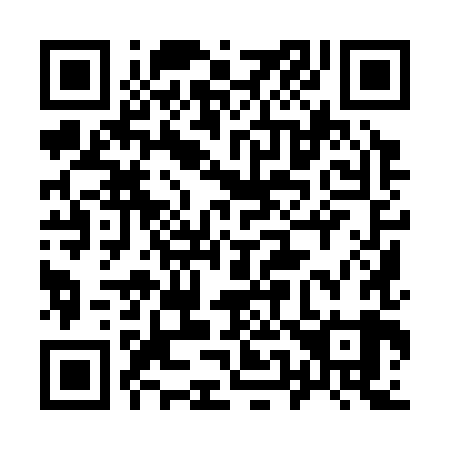 QR code for plate 959-389