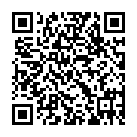 QR code for 960-811