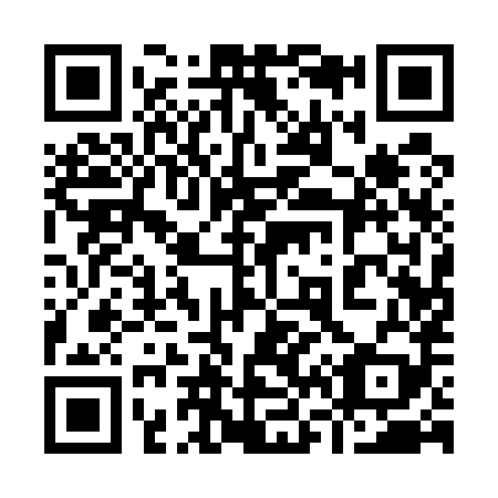 QR code for plate 961-589