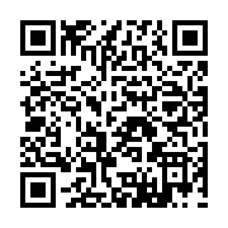 QR code for 96462