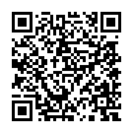 QR code for 96509