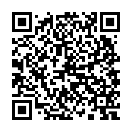 QR code for 966-655
