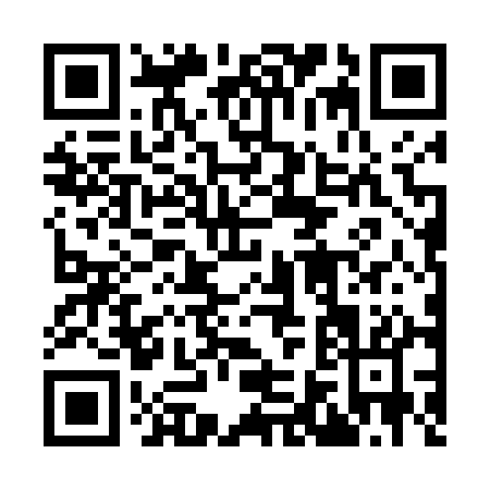 QR code for 96641