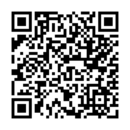 QR code for 98733