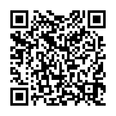 QR code for 991-213