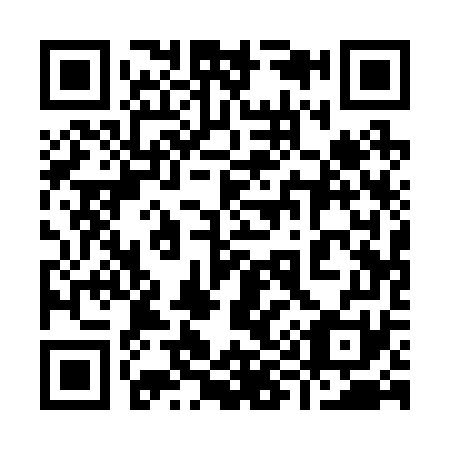 QR code for 991-271