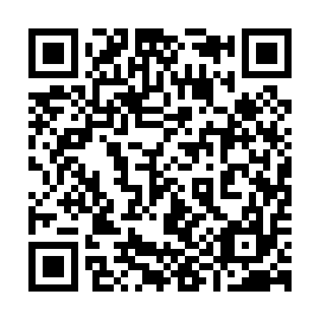 QR code for plate 991-017