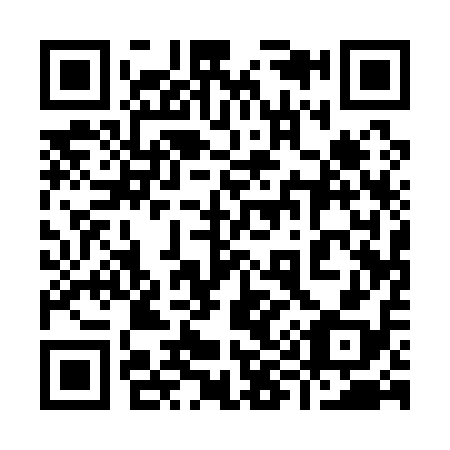 QR code for 991118