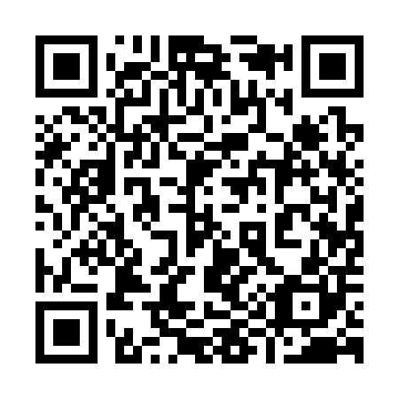 QR code for plate 991-300